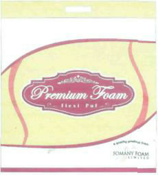Premium Foam Device mark 1560547 Trademark