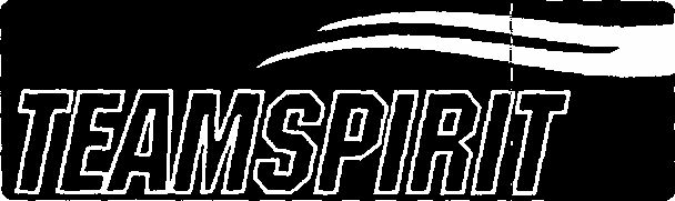 Teamspirit (label) Device mark 1530863 Trademark