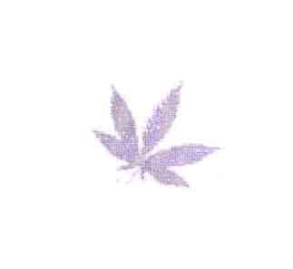 Device Of Leaf Device mark 1782456 Trademark