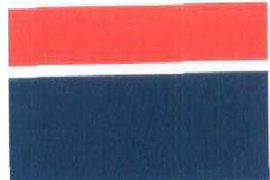 Flag Device mark 1912792 Trademark