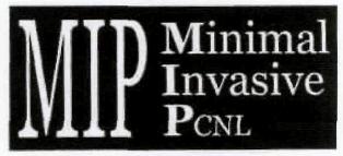 Mip Minimal Invasive Pcnl (label) Device mark 2899565 Trademark