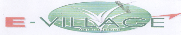 E- Village Device mark 2268893 Trademark