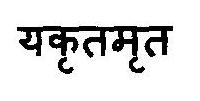 Yakritmrit Device mark 2904305 Trademark