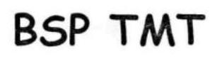 Bsp Tmt Device mark 1859282 Trademark