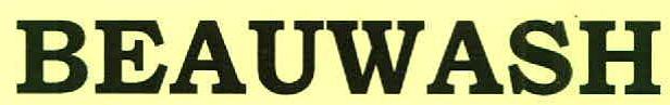 Beauwash Device mark 2978209 Trademark