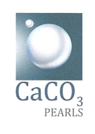 Caco Device mark 2437658 Trademark