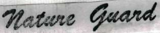 Nayure Gaurd Device mark 1982461 Trademark