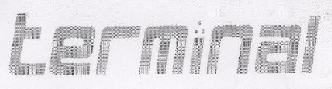 Terminal Device mark 1697435 Trademark