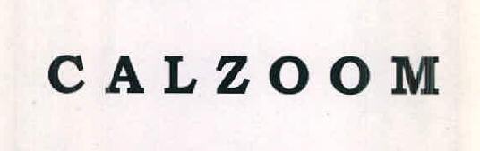 Calzoom Device mark 2570620 Trademark