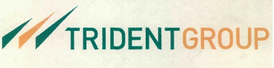 Trident Group Device mark 2728359 Trademark