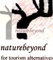 Nature Beyond Device mark 1483424 Trademark