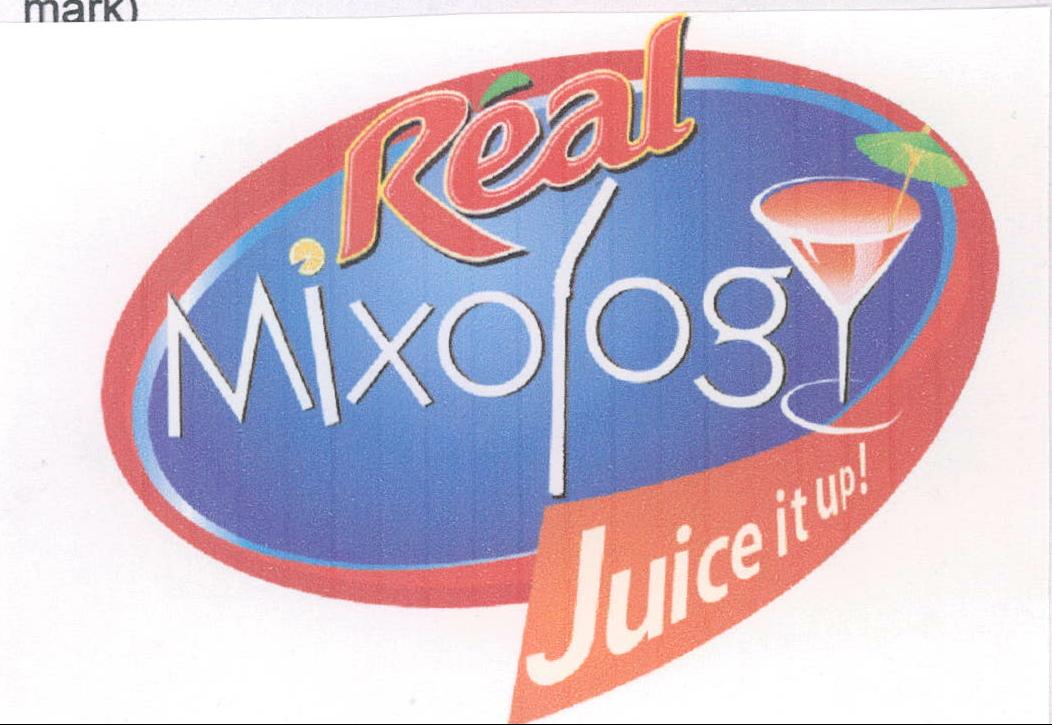 Real Mixology Device mark 1992563 Trademark