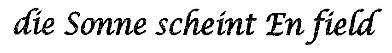 Die Sonne Scheint En Field Device mark 1971275 Trademark