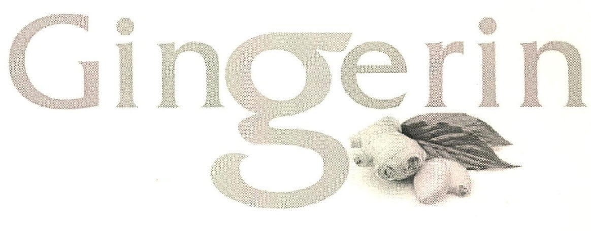 Gingerin Device mark 2754240 Trademark