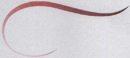 No Name Device mark 1714522 Trademark