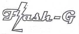 Flash-g Device mark 1989740 Trademark