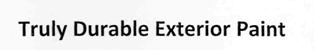 Truly Durable Exterior Paint Device mark 2765818 Trademark