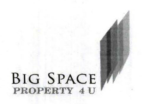 Big Space Device mark 2053034 Trademark