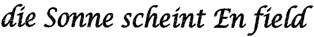 Die Sonne Scheint En Field Device mark 1971273 Trademark