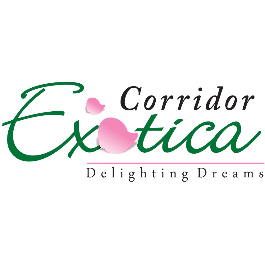 Corridor Exotica- Delighting Dreams Device mark 2334566 Trademark