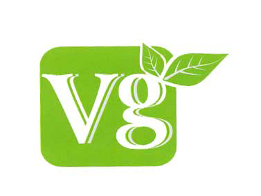 Vg Device mark 1862623 Trademark