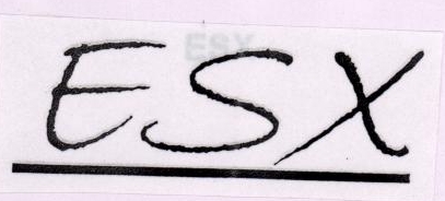 Esx Device mark 1819973 Trademark