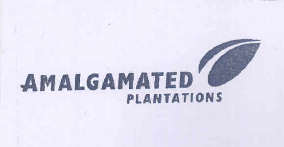 Amlgamated Plantation, Device , A Leaf Device mark 1586871 Trademark
