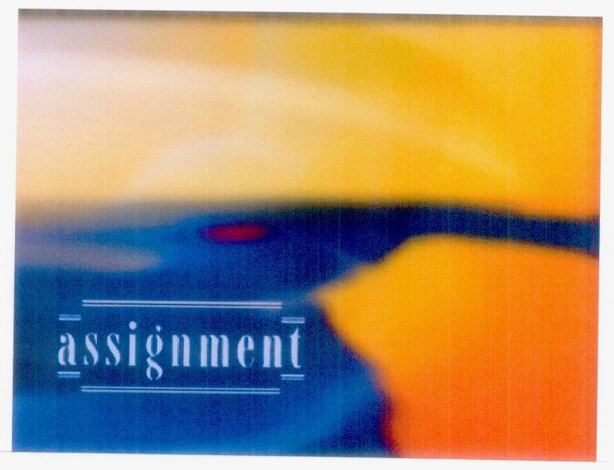 Assignment Device mark 1072591 Trademark