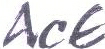 Ace Device mark 1966110 Trademark