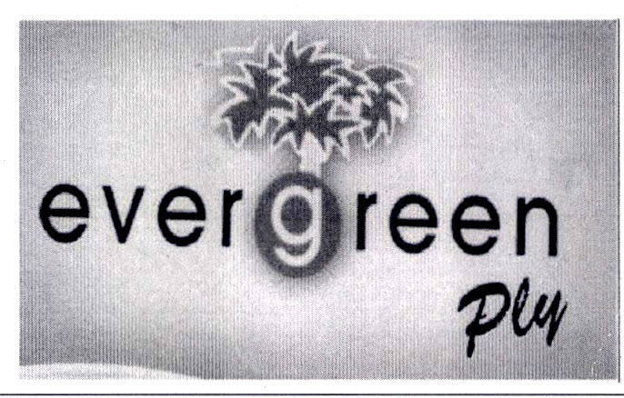 Evergreen Ply Device mark 2805583 Trademark