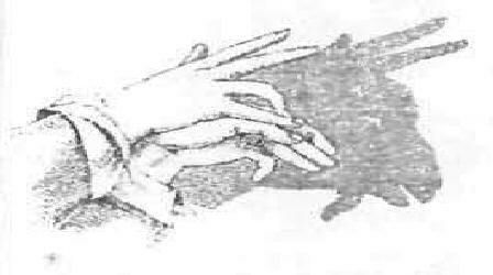 Grow With Agro Device mark 1997272 Trademark
