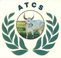 Atcs With Device Of Ox Device mark 2387072 Trademark