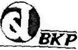 Bkp Device mark 2273089 Trademark
