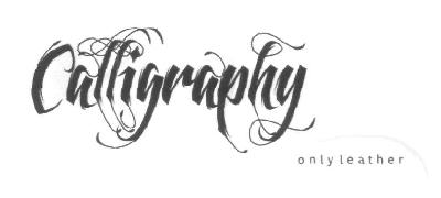 Calligraphy Device mark 2839518 Trademark