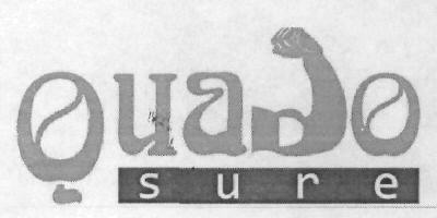 Quado Sure Device mark 2971481 Trademark