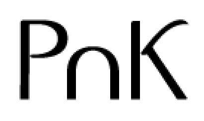 Pnk Device mark 2549211 Trademark