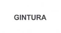 Gintura Device mark 2044200 Trademark