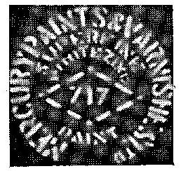 717 (lable) Device mark 147813 Trademark
