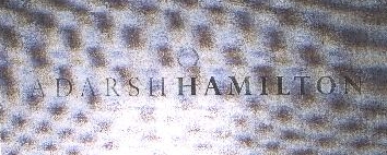 Adarsh Hamilton Device mark 1768169 Trademark