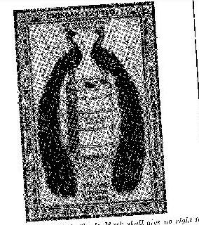 Device Device mark 142706 Trademark