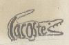 Lacoste Device Of Crocodial Device mark 516873 Trademark
