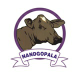 Nandgopala Device mark 2686625 Trademark