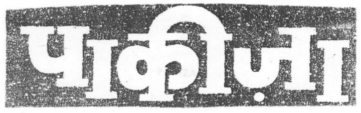 Pakiza (device) Device mark 1669477 Trademark