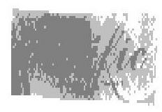 Pacific (label) Device mark 1267324 Trademark