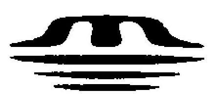 Device Device mark 1990245 Trademark
