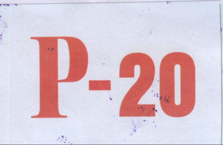 P-20 Device mark 1984460 Trademark
