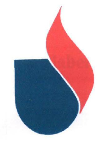 No Name Device mark 2055274 Trademark