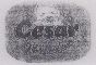 Cesar (device) Device mark 919643 Trademark