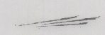 Sprep Design Device mark 1041159 Trademark