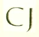 Cj Device mark 1446107 Trademark